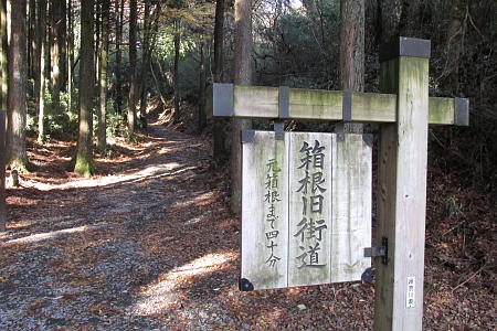 この部分には、ワイドサイズ450px以内の画像が使えます。