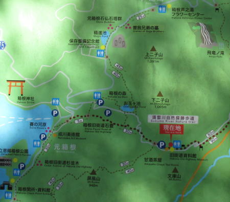 ハイキングコース