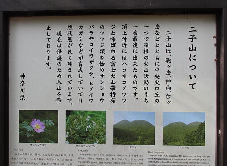 二子山について