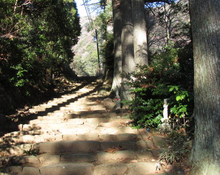 阿弥陀寺