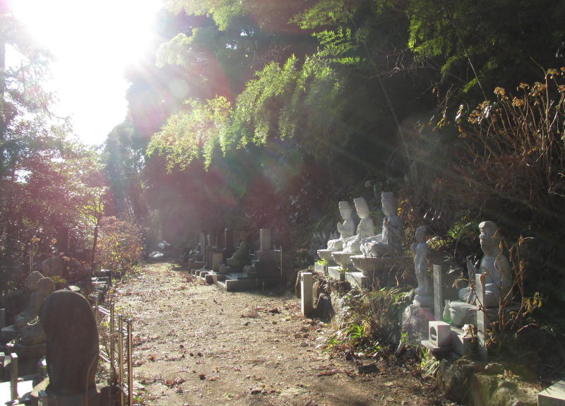 阿弥陀寺