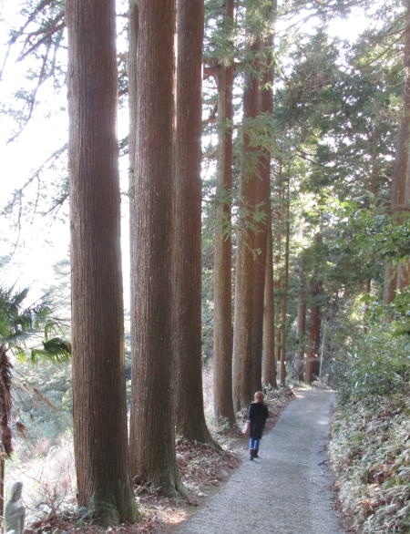 阿弥陀寺