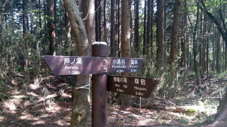 分岐点道標