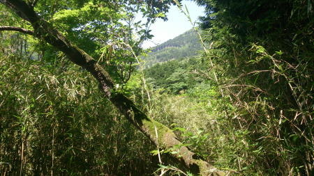 やっと山と空の抜け
