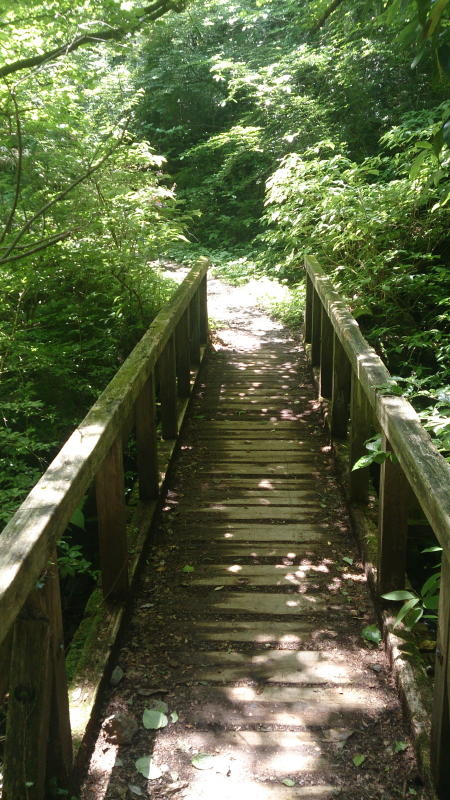 木の橋