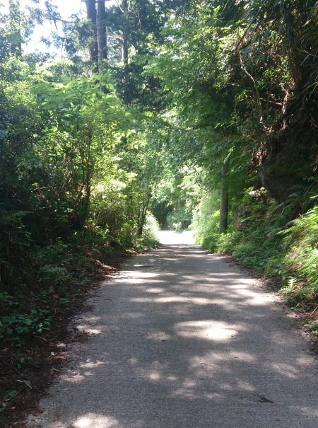 舗装道路
