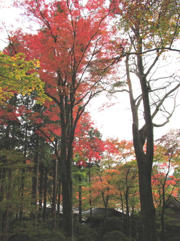 長安寺
