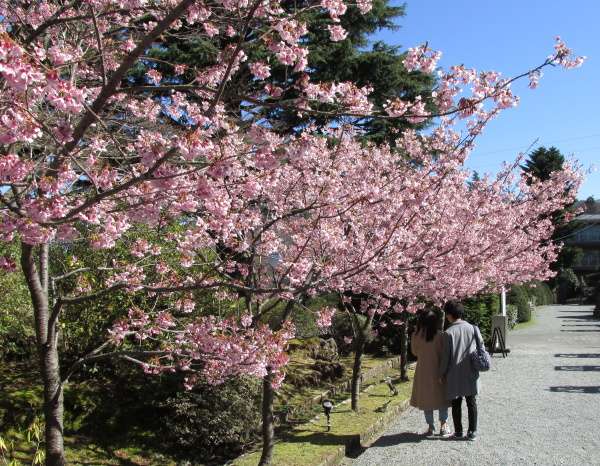強羅公園