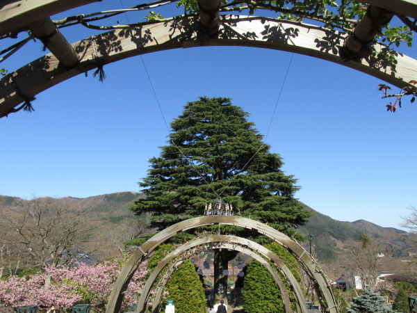 強羅公園