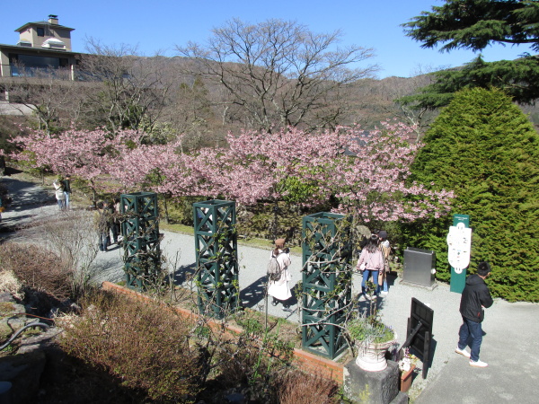 強羅公園