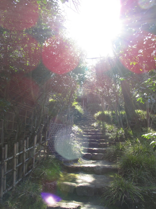 強羅公園