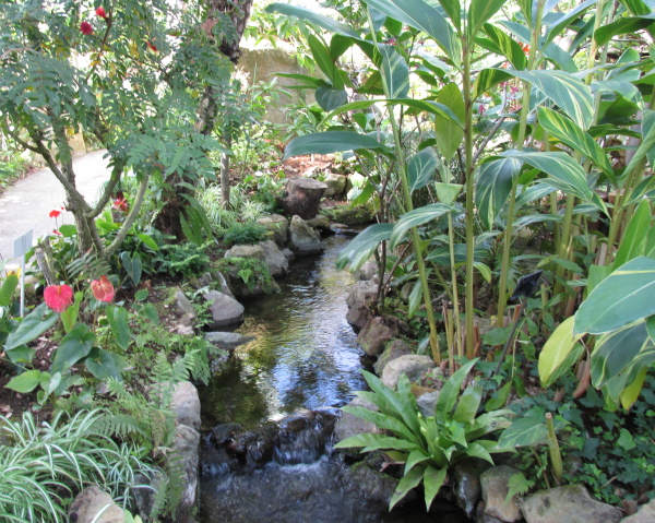強羅公園