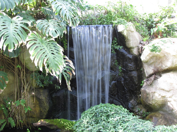 強羅公園