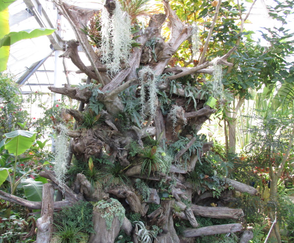 強羅公園
