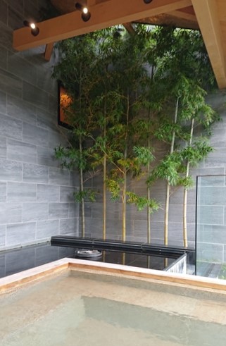 THE HIRAMATSU HOTELS & RESORTS 仙石原