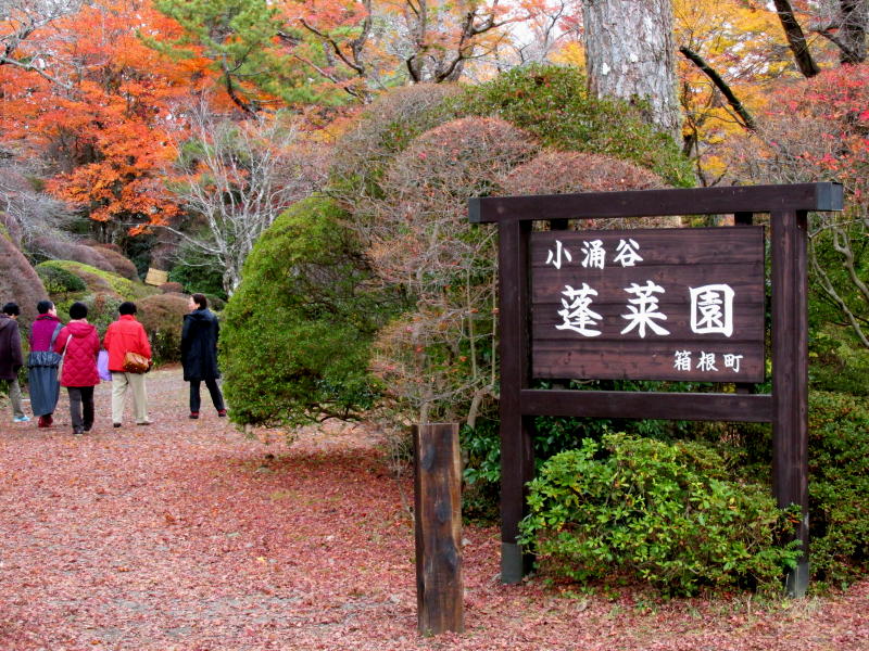 蓬莱園
