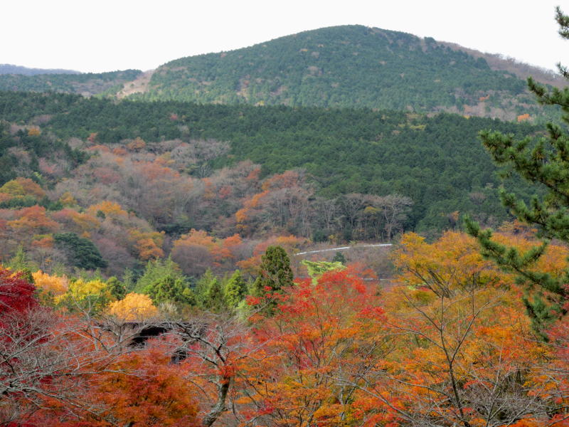 蓬莱園