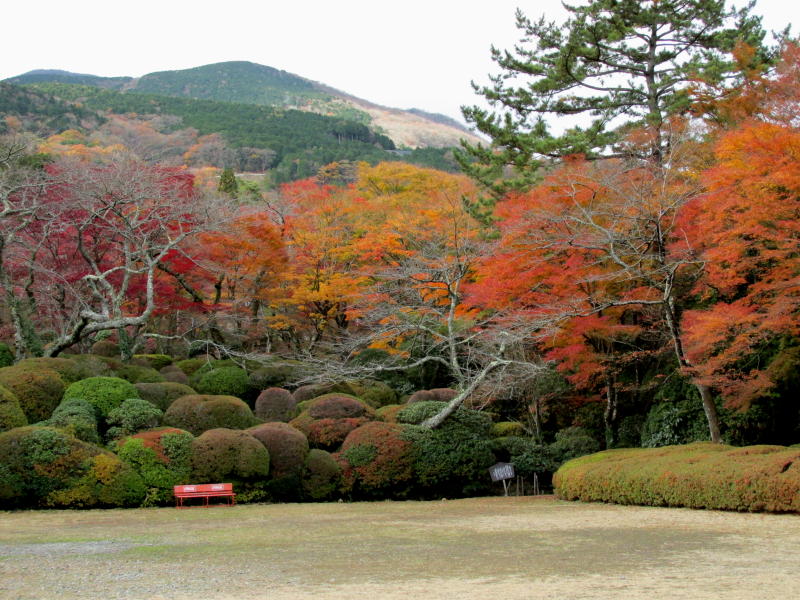 蓬莱園