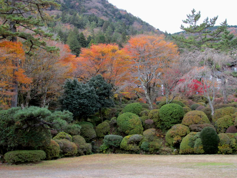 蓬莱園
