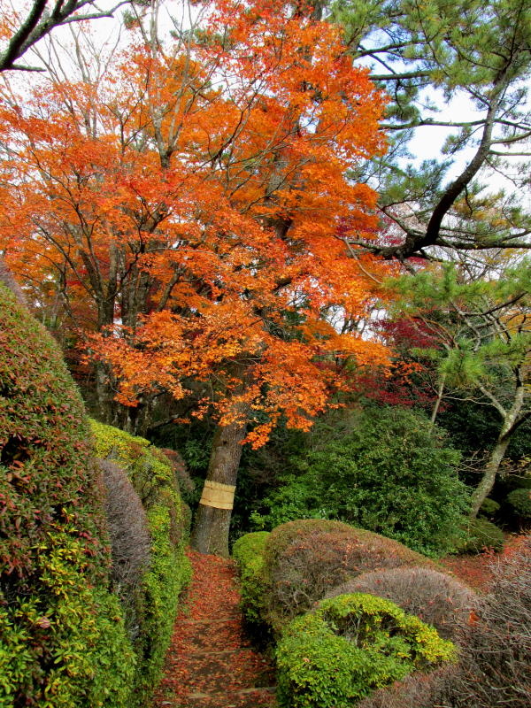 蓬莱園