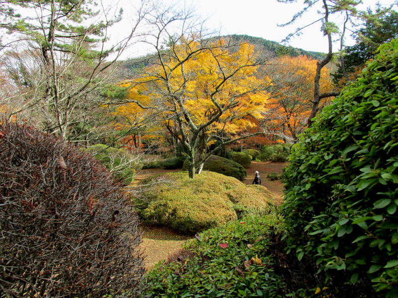蓬莱園