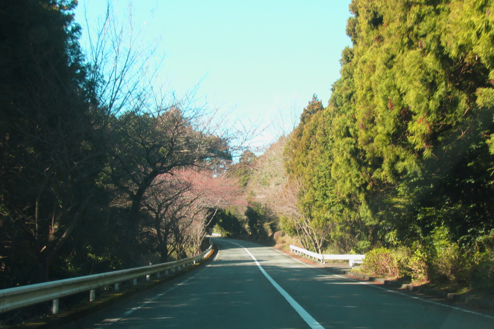 箱根ターンパイク