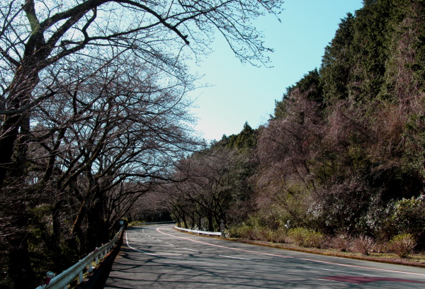箱根ターンパイク