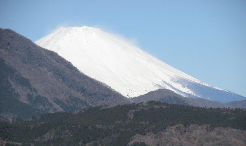 箱根ターンパイク