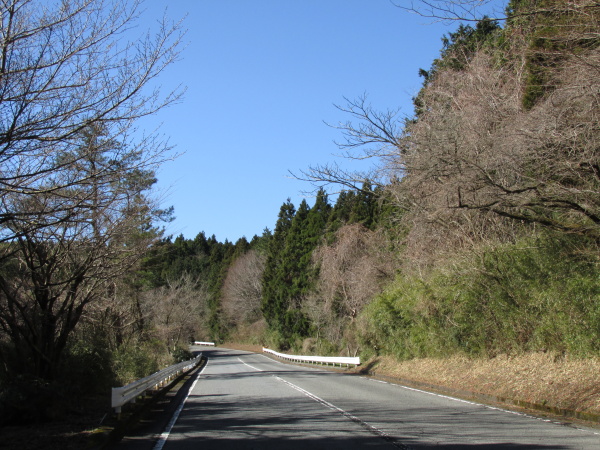 箱根ターンパイク