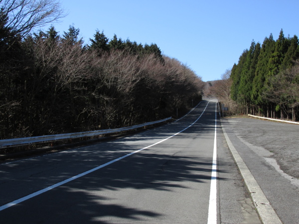 箱根ターンパイク