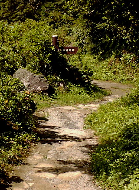 池沿いの散策道