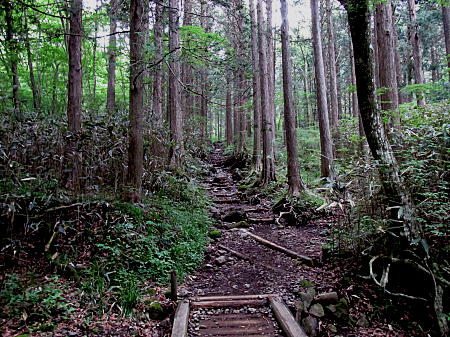 登山道に入る