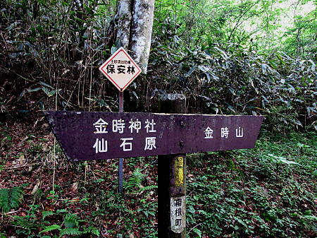道標