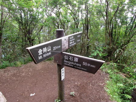 分岐点道標