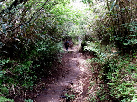 下山