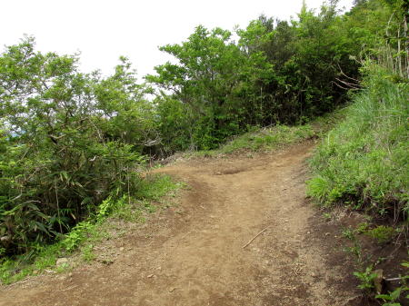 見晴らしがいい下山道