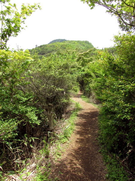 見晴らしがいい下山道