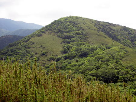 明神ヶ岳方面