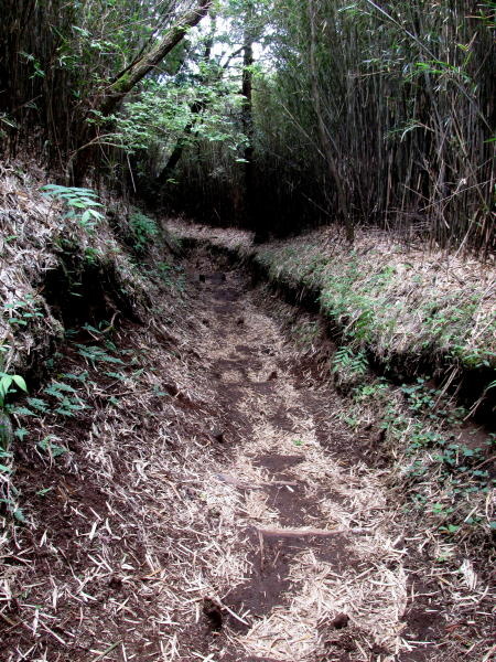 登山口入口へ