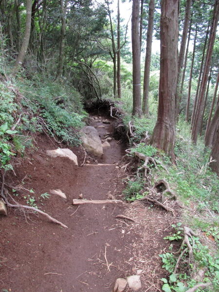素敵な小路