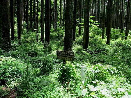 神山への登山道入口の道標