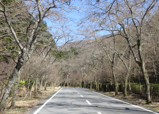 箱根高原ホテル