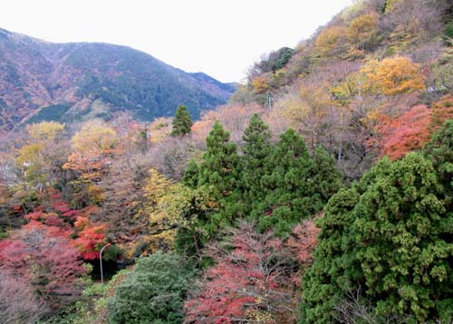 部屋からの景色