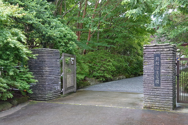 箱根湿生花園
