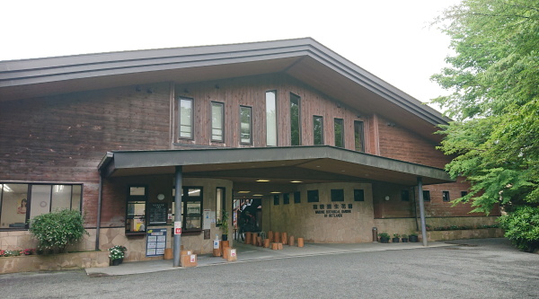 箱根湿生花園