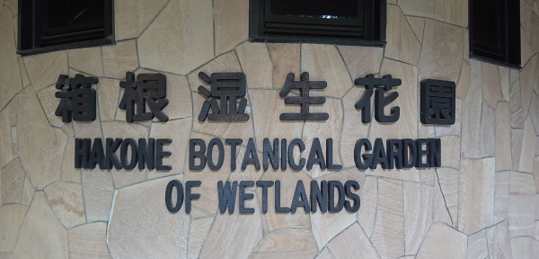 箱根湿生花園