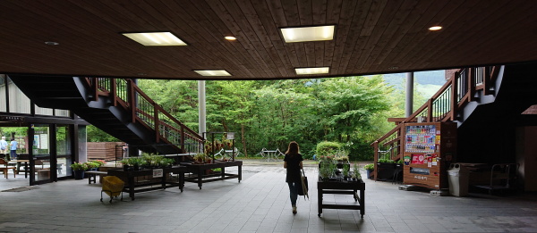 箱根湿生花園