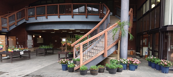 箱根湿生花園