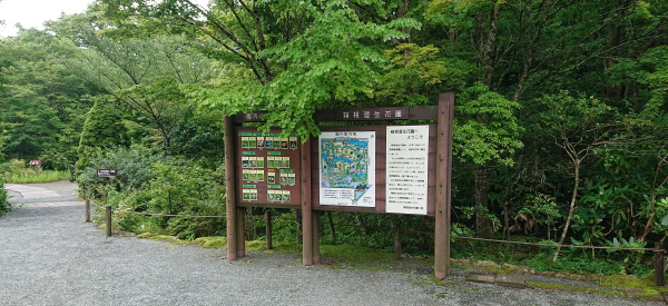箱根湿生花園