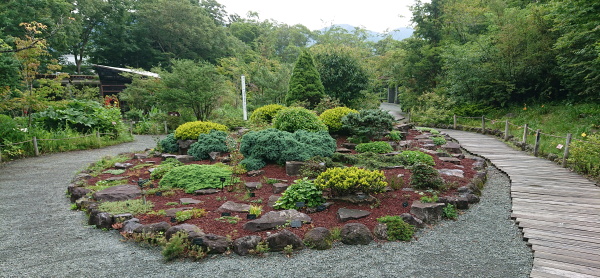 箱根湿生花園